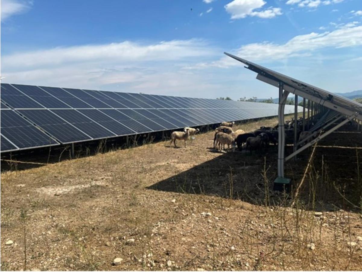 El parque fotovoltaico de Els Valentins.