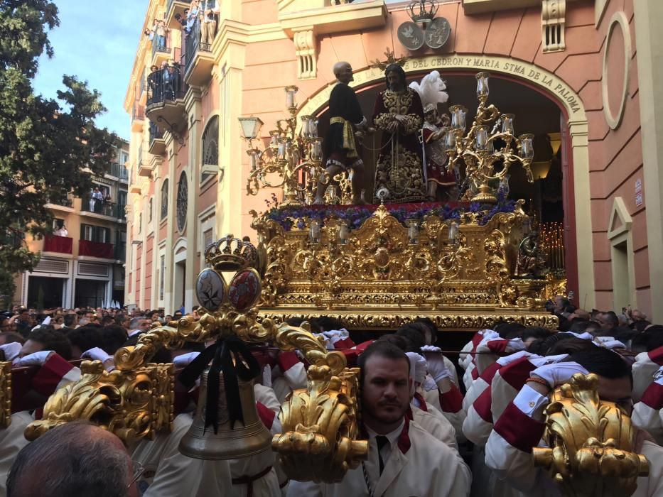 Miércoles Santo | Paloma