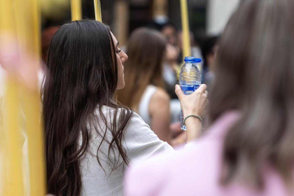 Mañana de procesiones del Domingo de Ramos en Alicante
