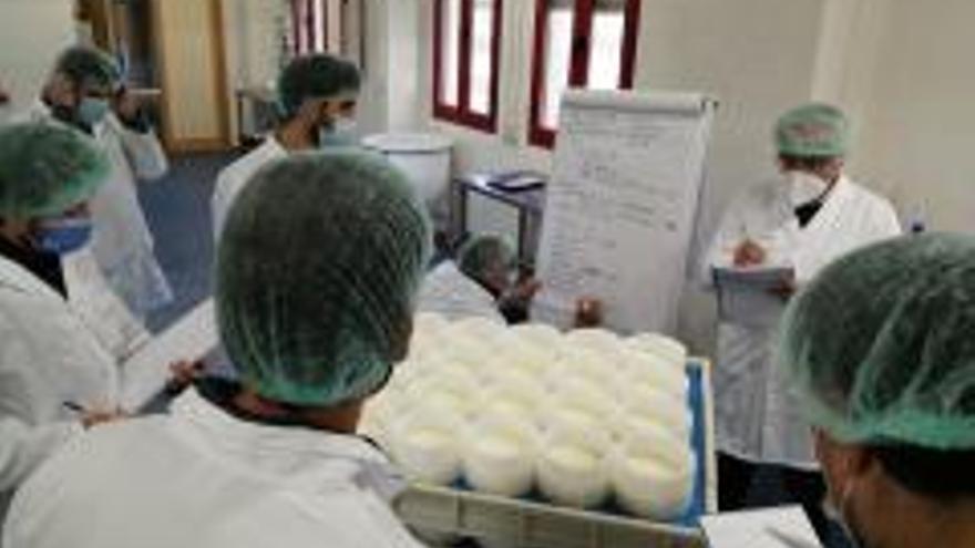 Nuevos quesos azul y de pasta en la Escuela de Industrias Lácteas Zamora