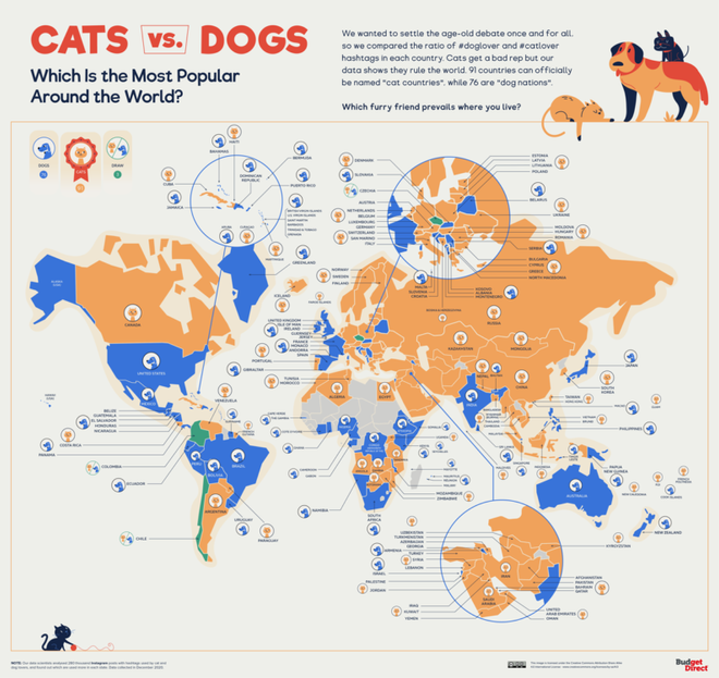 Cats VS Dogs, paises