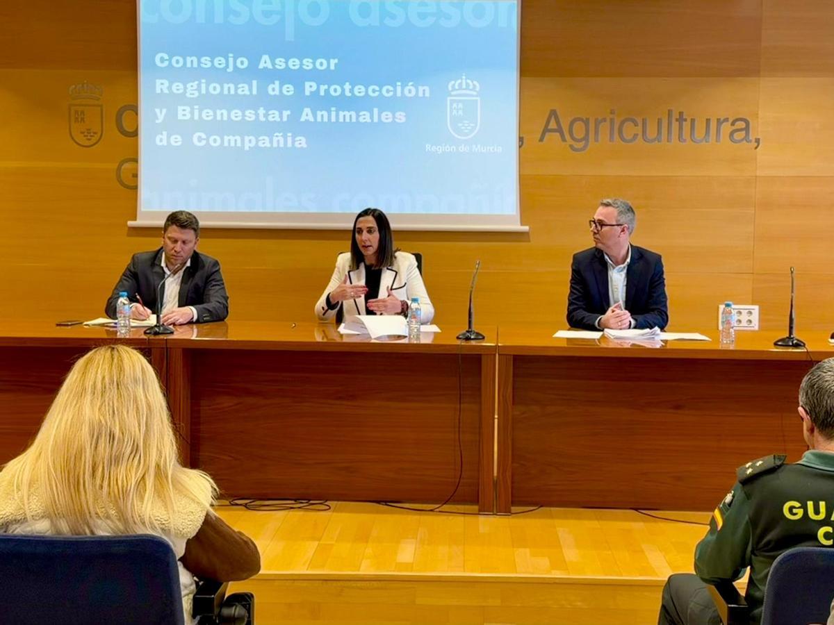 La consejera Sara Rubira, durante la reunión del Consejo Asesor Regional de Protección y Bienestar de Animales de Compañía.