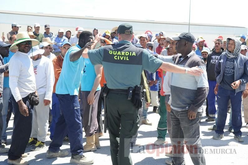 Protesta hortofrutícola en una empresa de El Raal