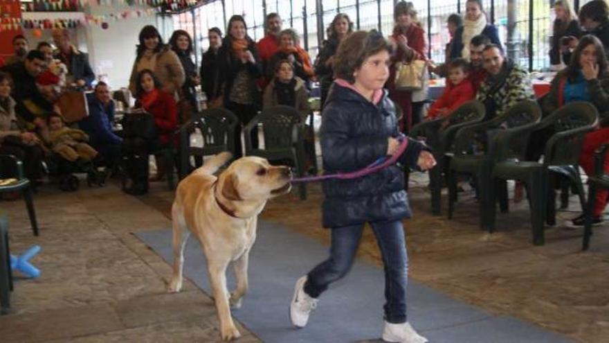 Desfile canino y ludoteca para impulsar el mercadillo de la protectora