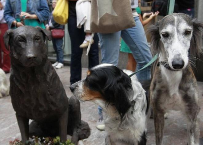 Inauguración de la estatua del perro "Rufo"