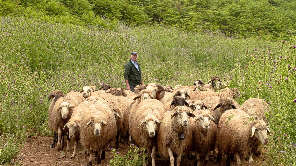 Tradición, sabor y sostenibilidad