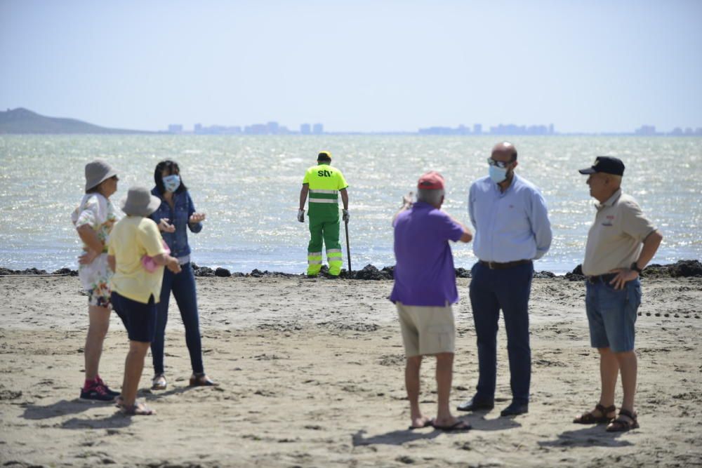 Limpieza del Mar Menor en Los Alcázares