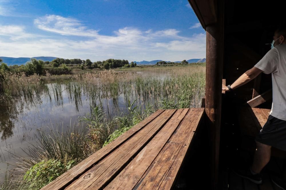 La albufera de Gaianes sobrevive al verano