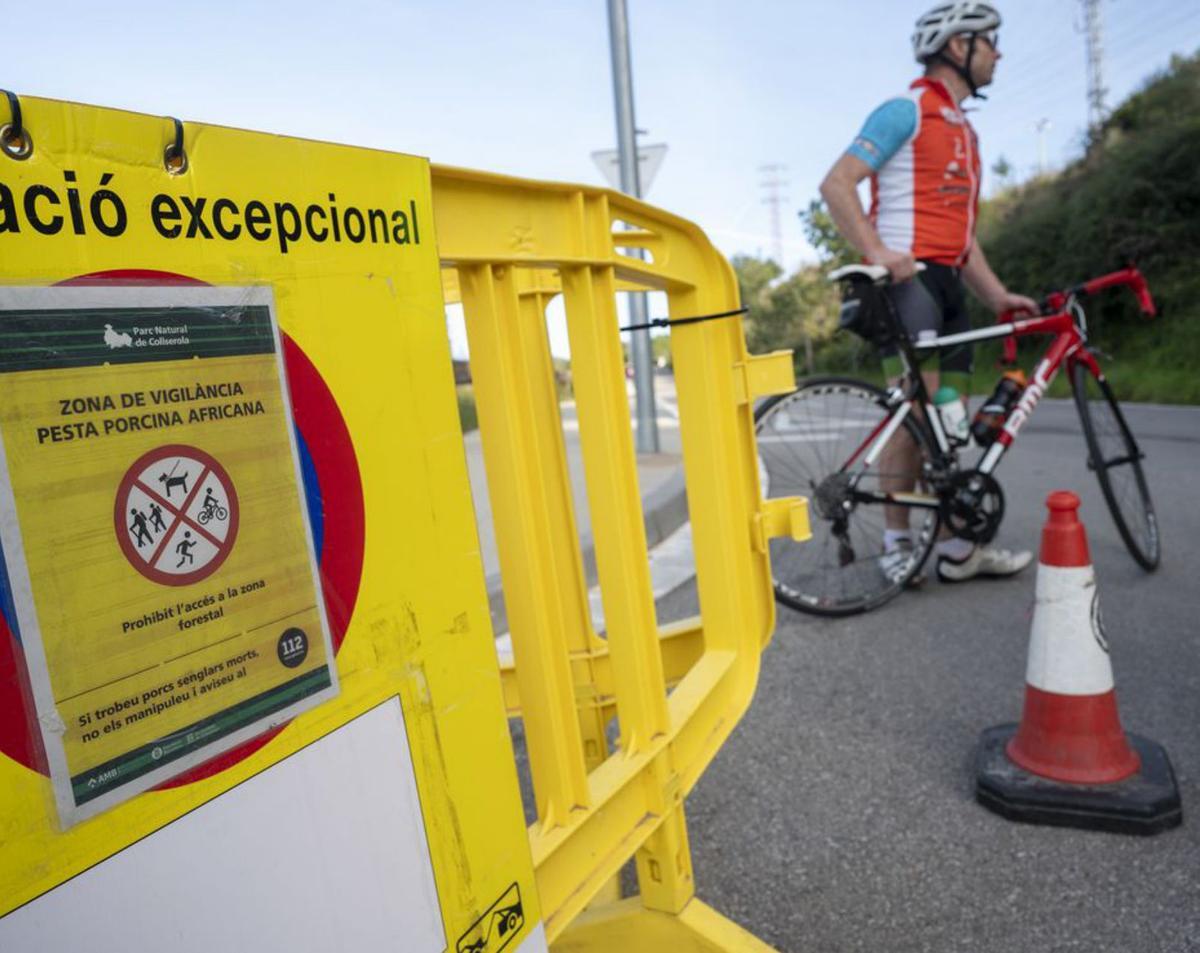 Restriccions d’accés en boscos dels 91 municipis més pròxims