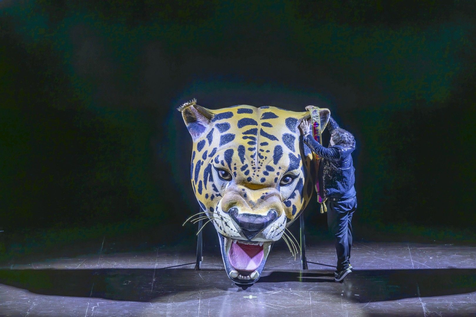 Las mejores imágenes del pregón y la gala del Carnaval 2026 de Torrevieja están aquí