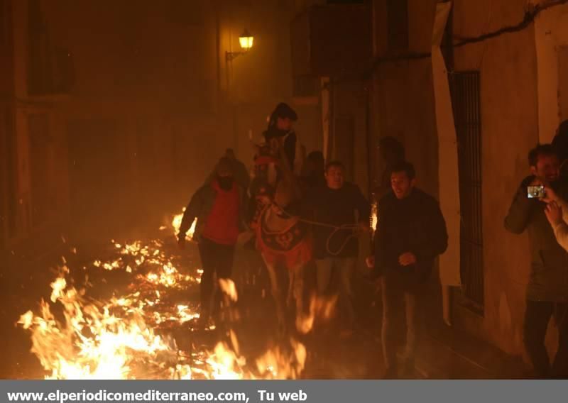 Sant Antoni en la provincia de Castellón