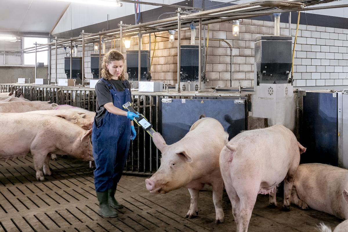 Una granja d'Inga Food.