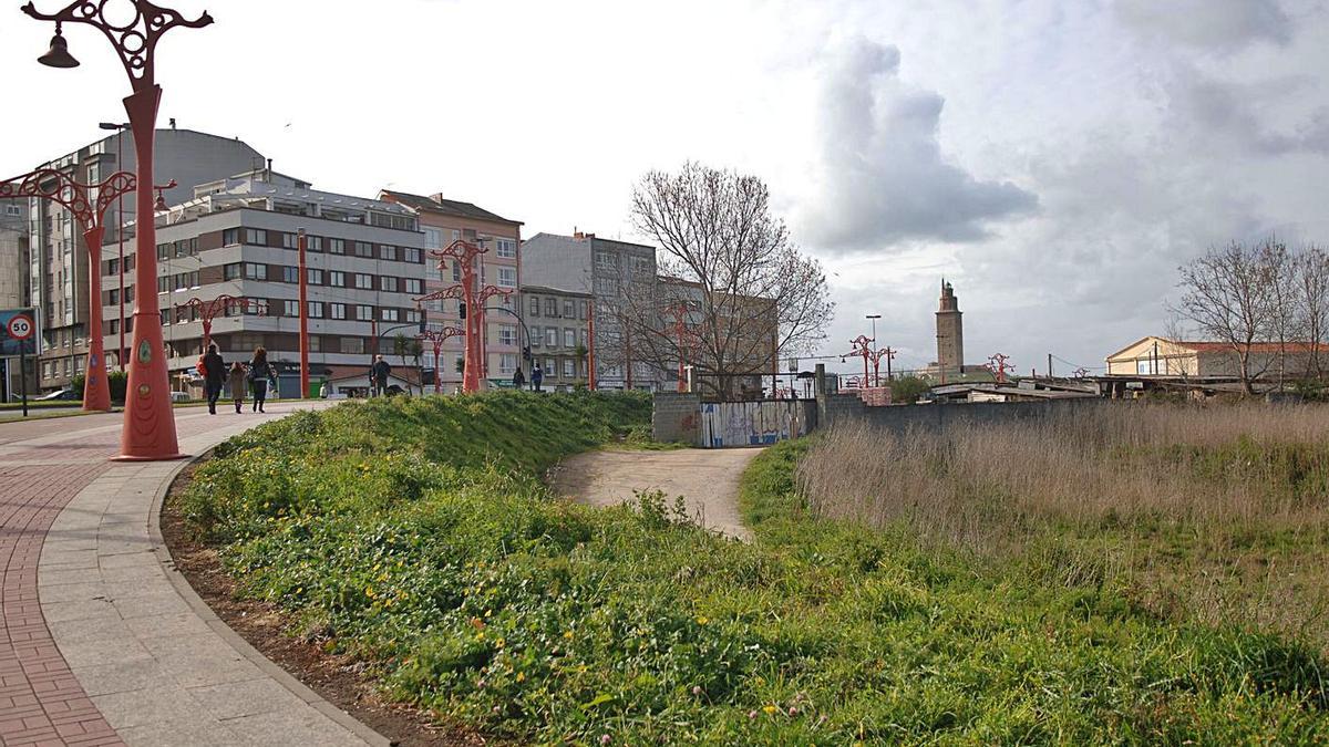 Zona del Agra de San Amaro, con la Torre de Hércules al fondo. |   // CARLOS PARDELLAS