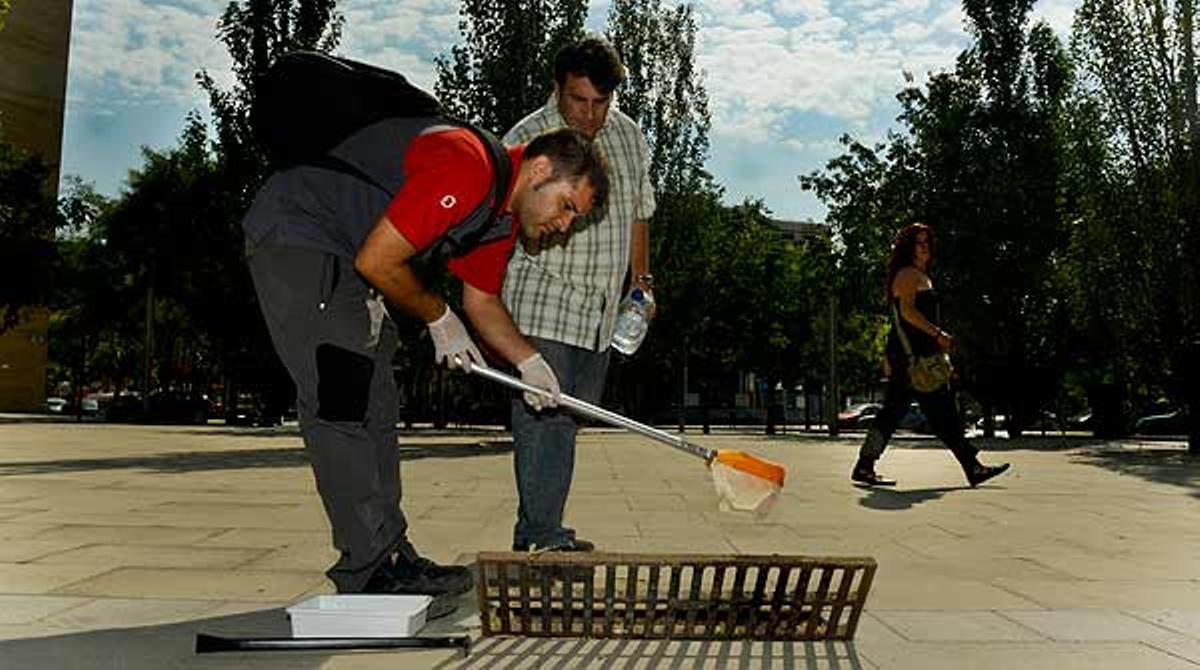 ’EL PERIÓDICO’ acompanya membres del programa de vigilància i control del mosquit tigre a Barcelona en una de les seves rutes pels carrers de la Zona Franca de Barcelona.