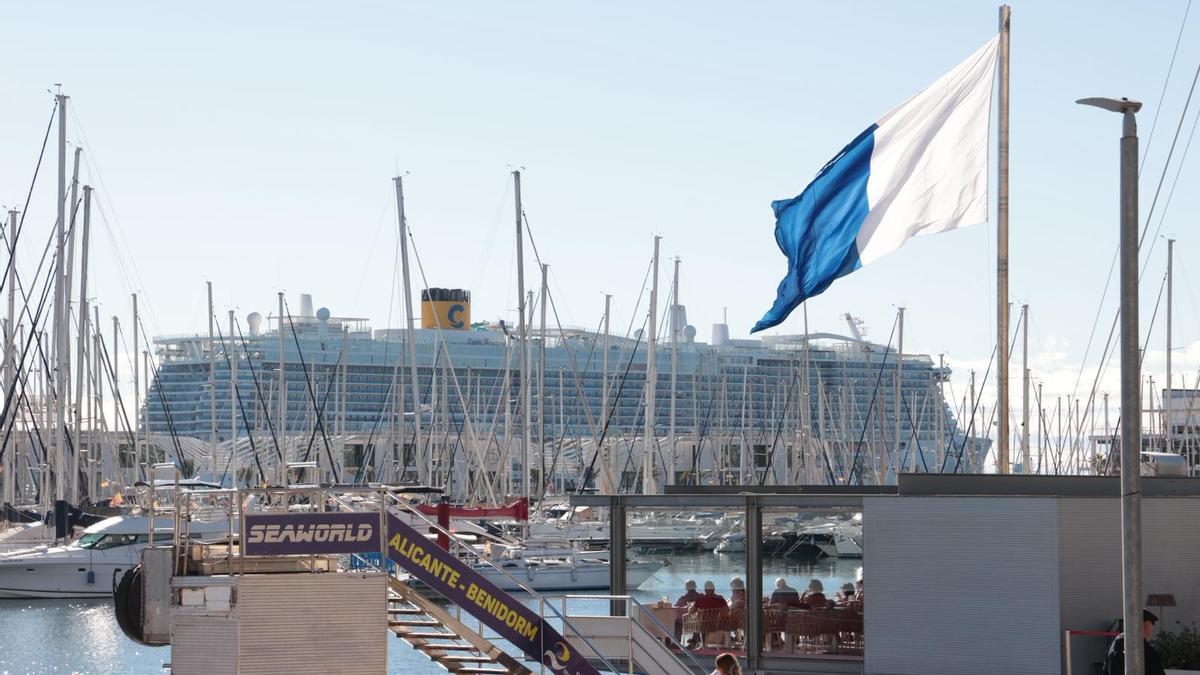 MSC y la asociación de cruceros renuevan alianza con la vista puesta en nuevas rutas