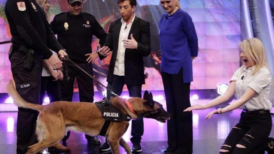 &#039;El Hormiguero&#039; niega que Cifuentes acudiera al programa acompañada por policías