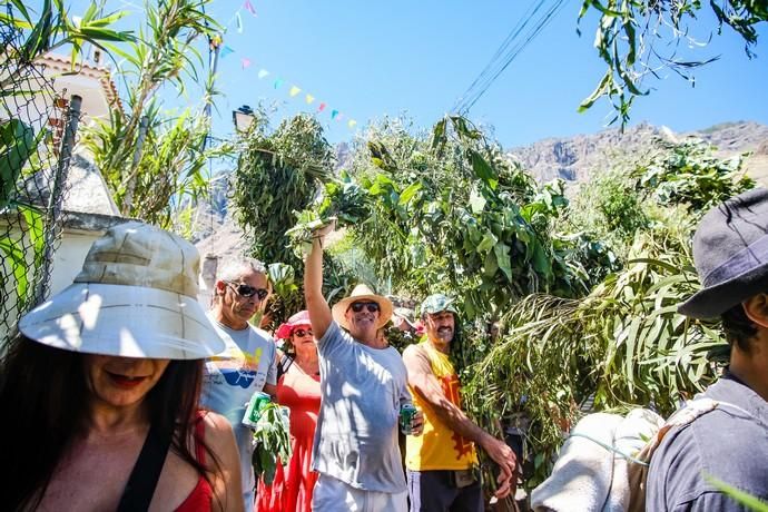 28.06.18. AGAETE.  BAJADA DE LA RAMA, EL VALLE ...