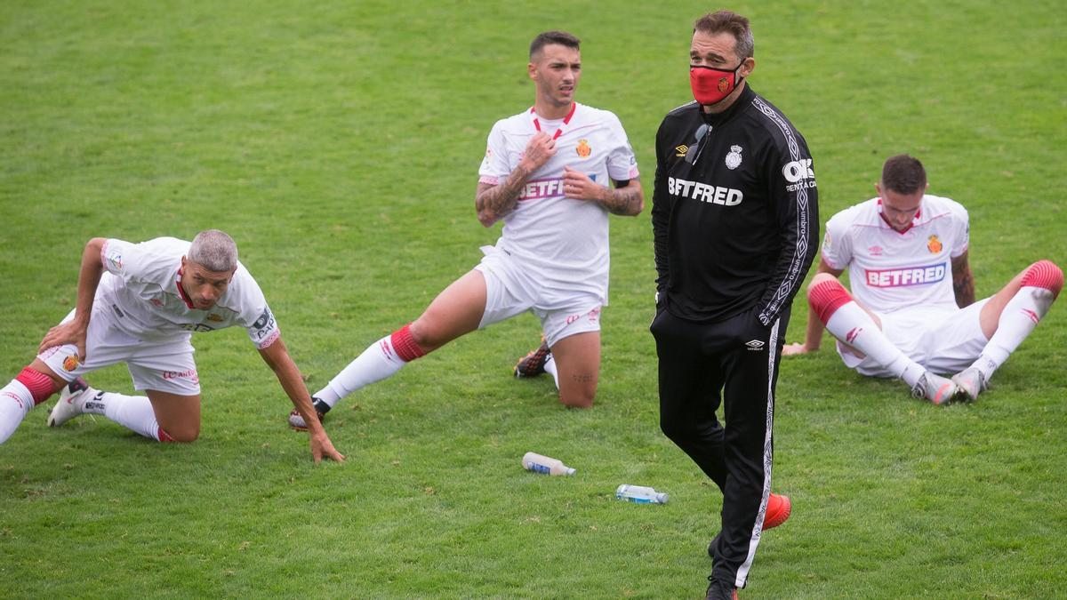 Luis García, entrenador del Mallorca.