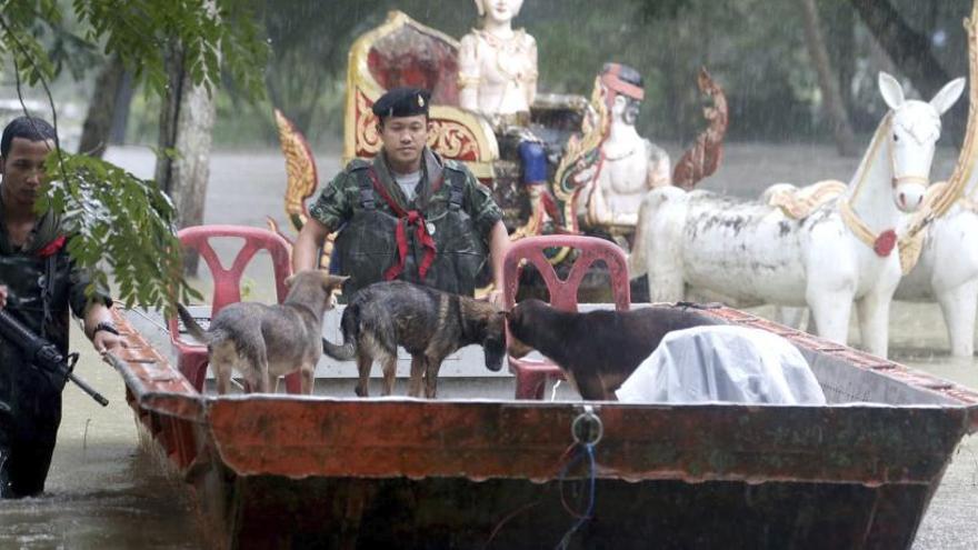 Soldados tailandeses empujan un bote con perros rescatados.