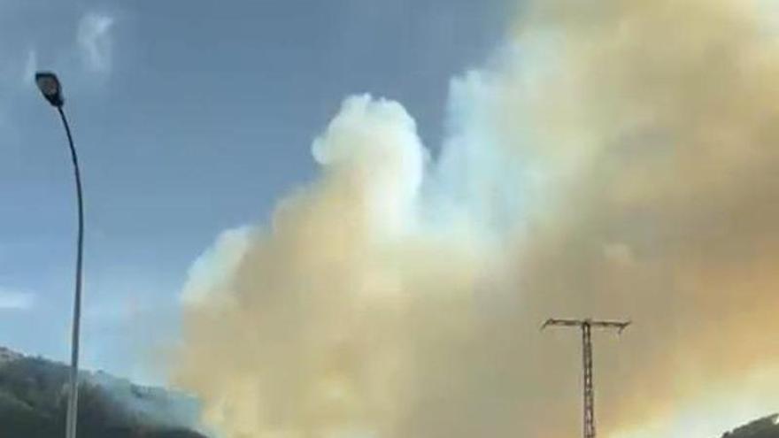 Declarado un incendio forestal en Tibi