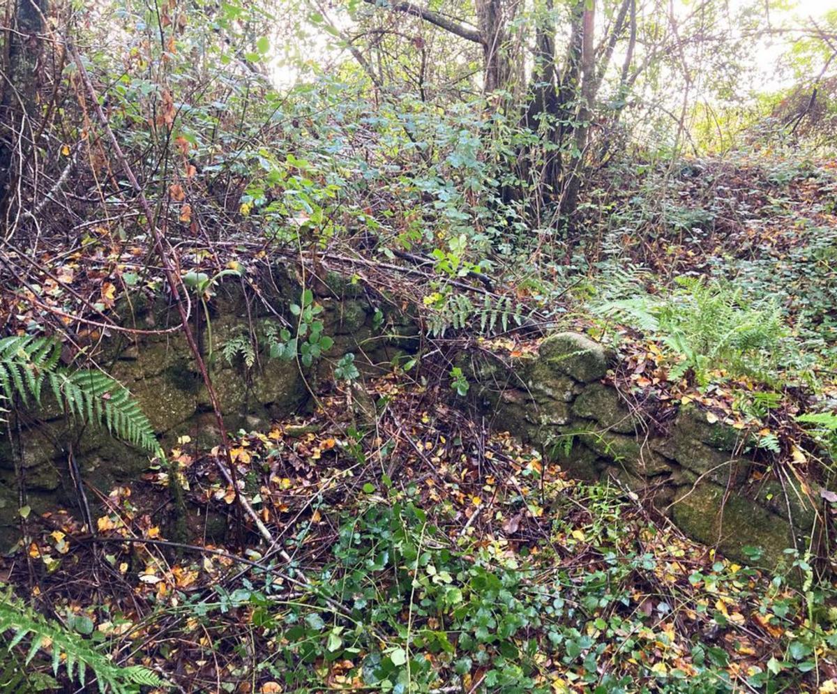 Entre o mato poden ollarse aínda os muros dalgunhas das construcións.