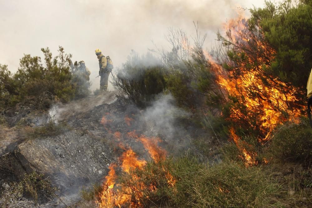 Incendio en los montes de León