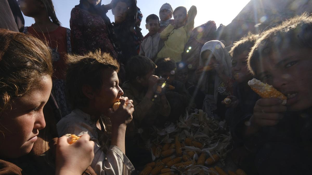 20 de septiembre del 2021. AFGANISTÁN. Unos niños afganos comen panochas crudas en un improvisado ampo de de refugiados en Mazar-e-Sharif. RICARD GARCIA VILANOVA