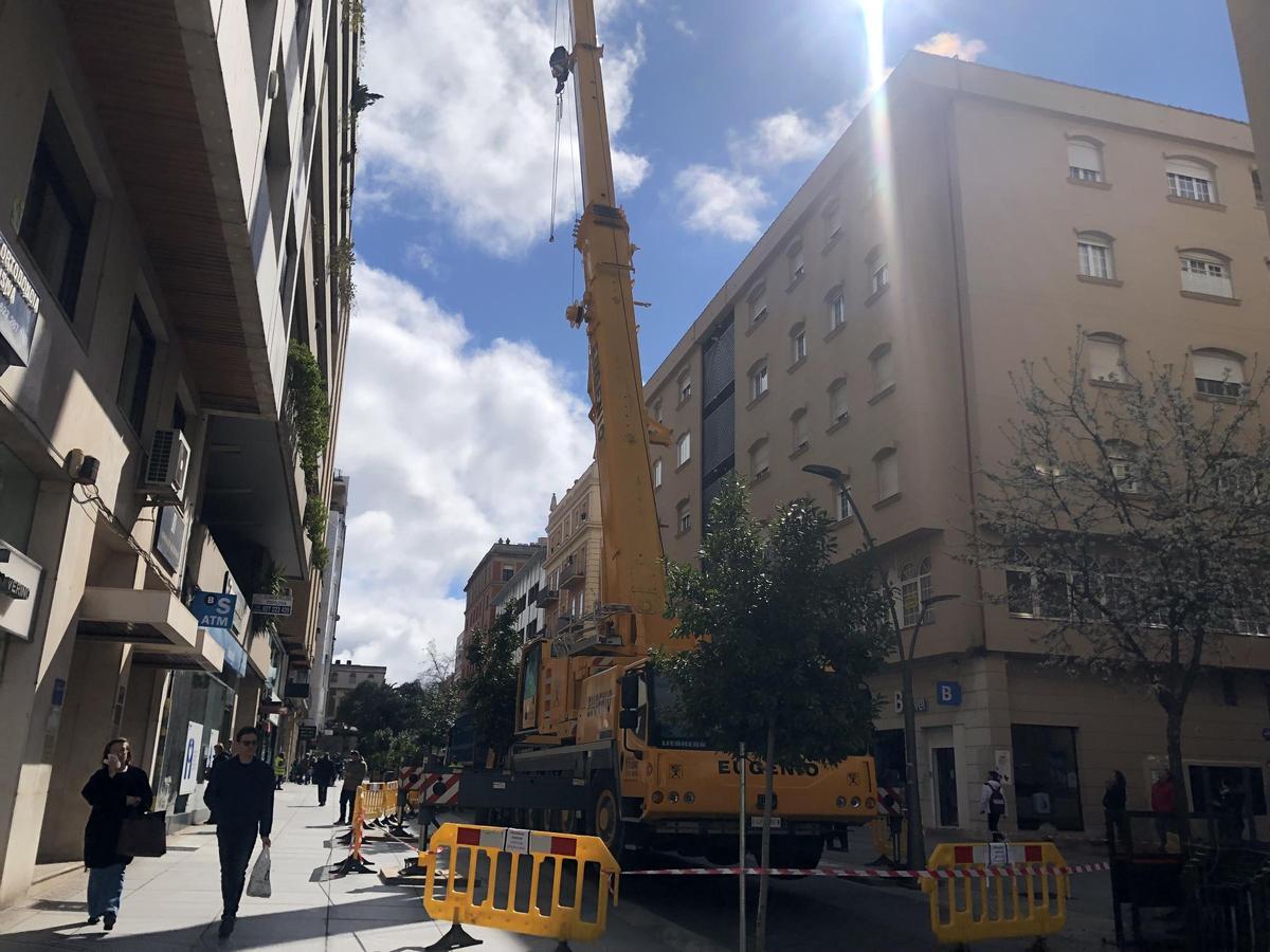 Fotogalería | San Pedro de Alcántara de Cáceres, al alza