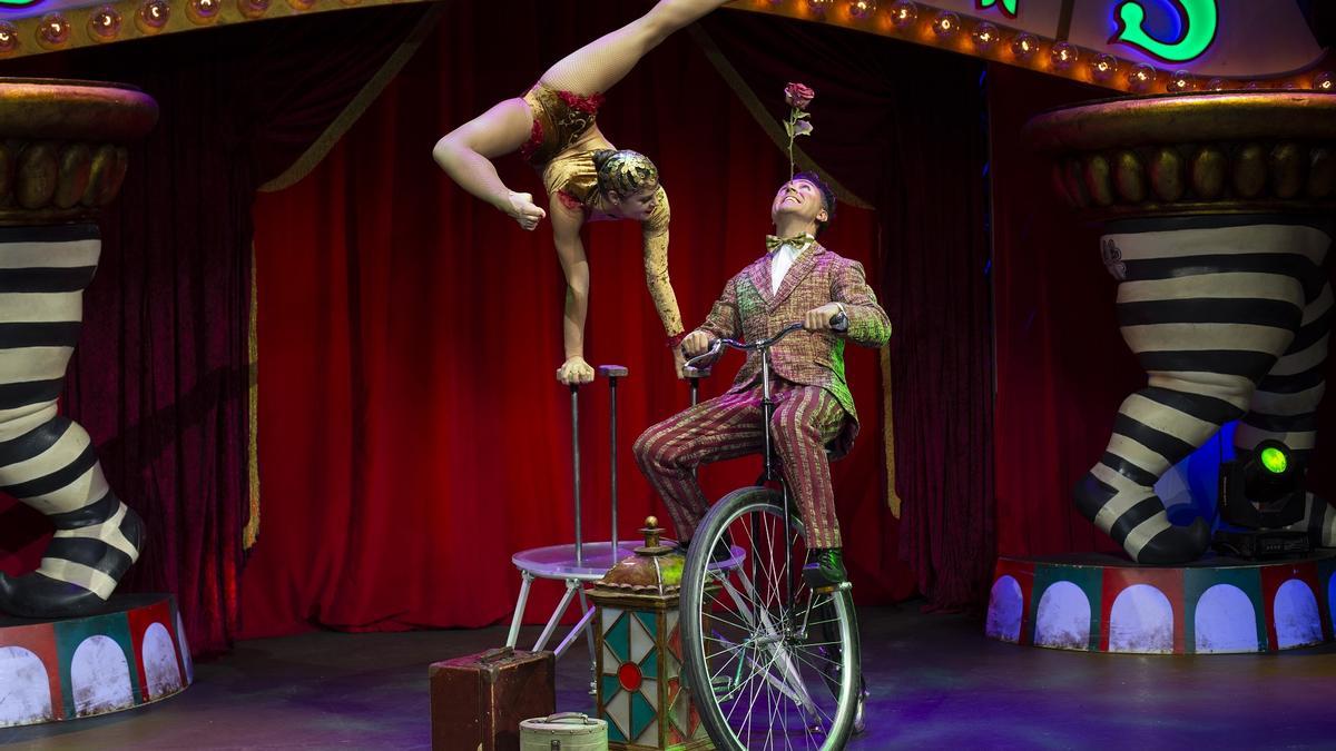 Disfruta en familia del circo en esencia pura.