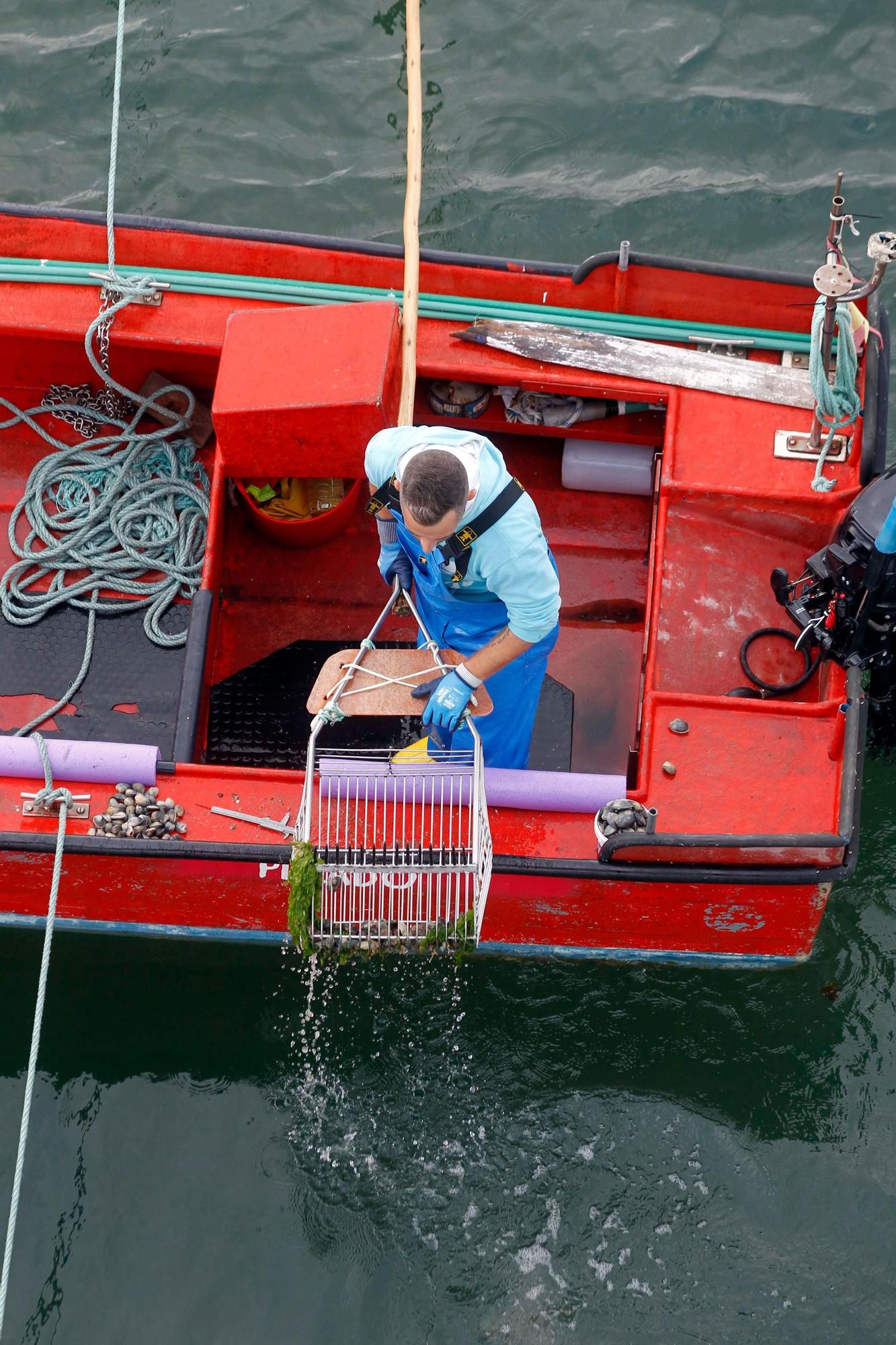 Así comenzó otra preocupante y desconsoladora campaña para el libre marisqueo en Arousa.