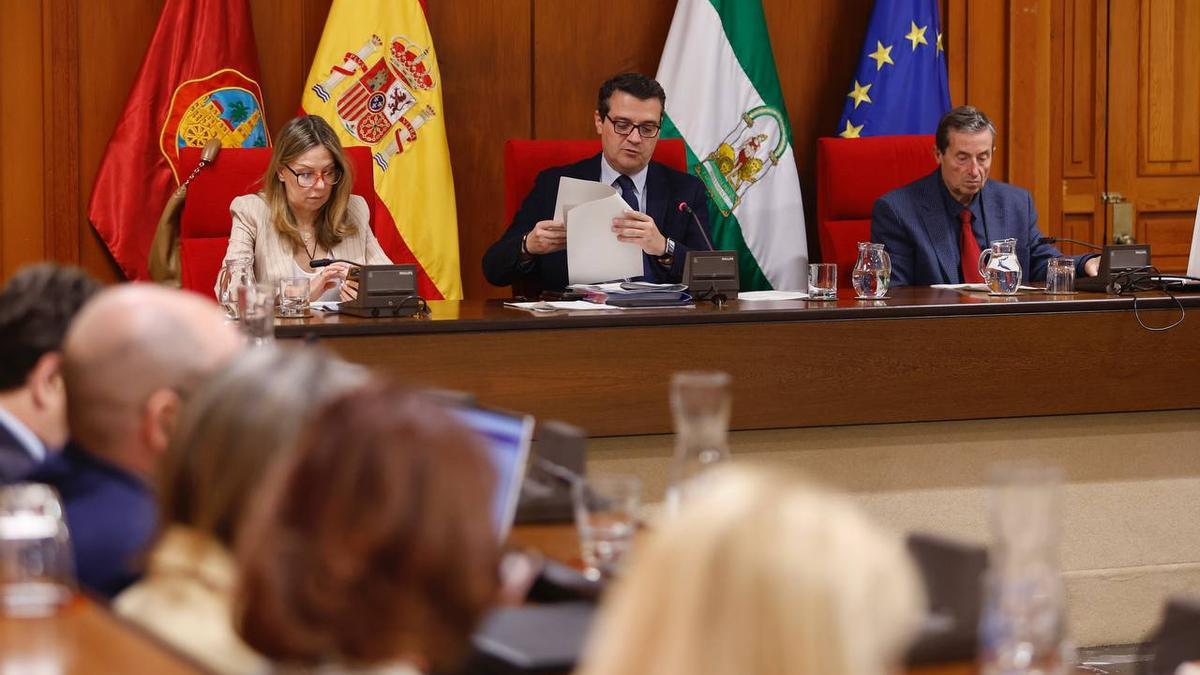 El alcalde de Córdoba, José María Bellido, durante la sesión plenaria de este jueves.