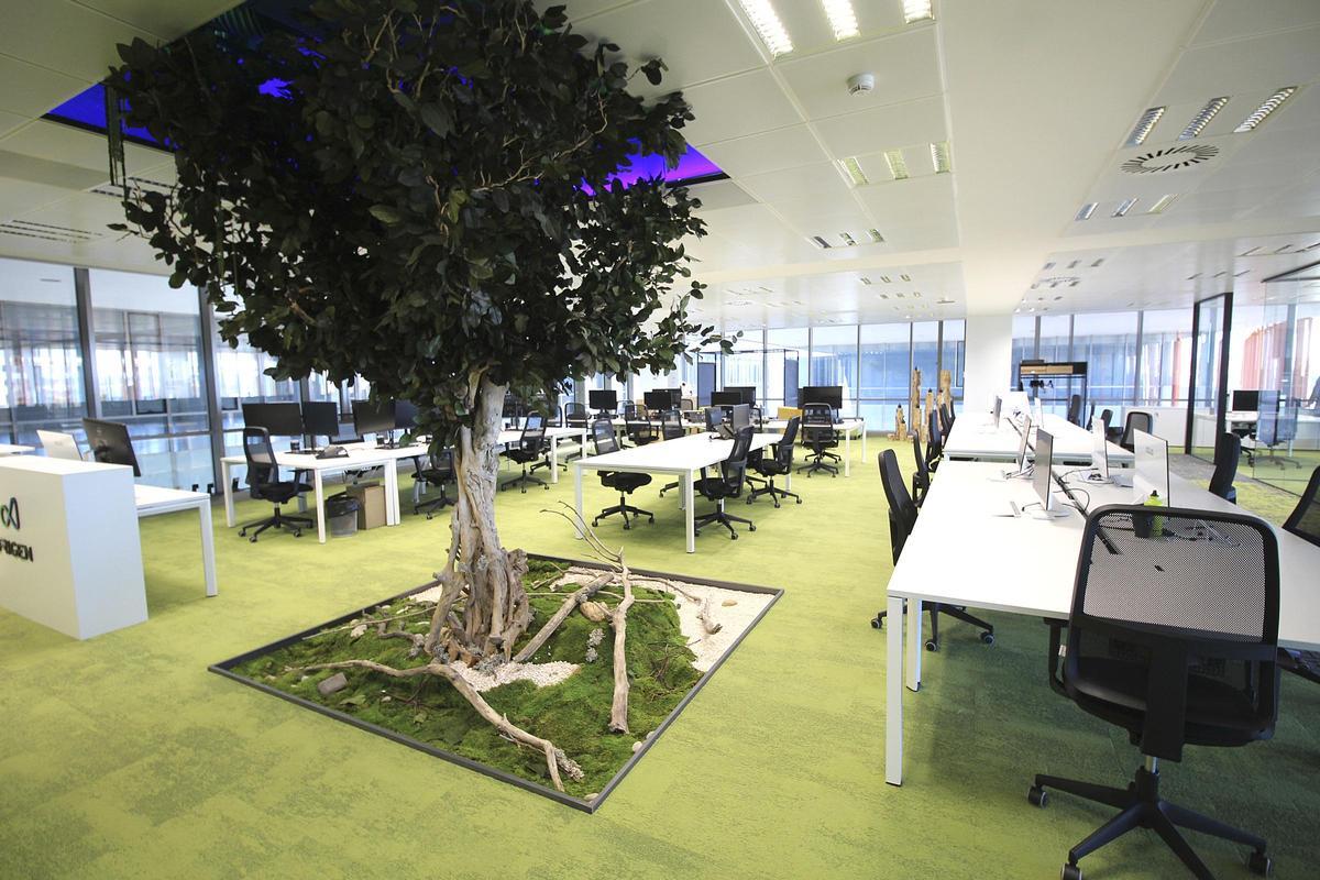 Árbol preservado en el interior de una oficina en Zaragoza, de Boogaloo.