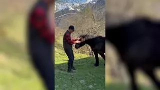 Así ha sido el fin de semana de Pedro Sánchez en el Valle de Arán