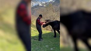 Pedro Sánchez visita els Pirineus catalans: rutes per la Vall d'Aran i el poble de Canejan