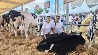 La Fira de ses Vaques de Campos lanza un mensaje claro: “El sector aún está vivo”