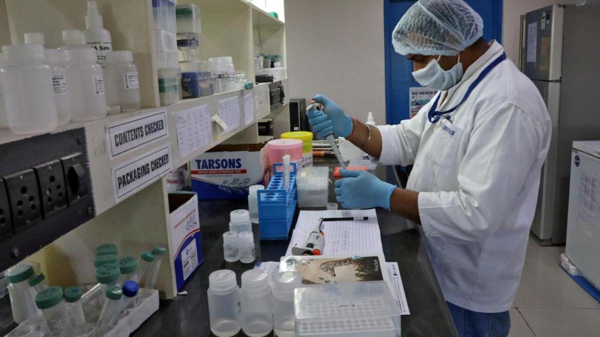 Un científic treballant en un laboratori de GCC Biotech.