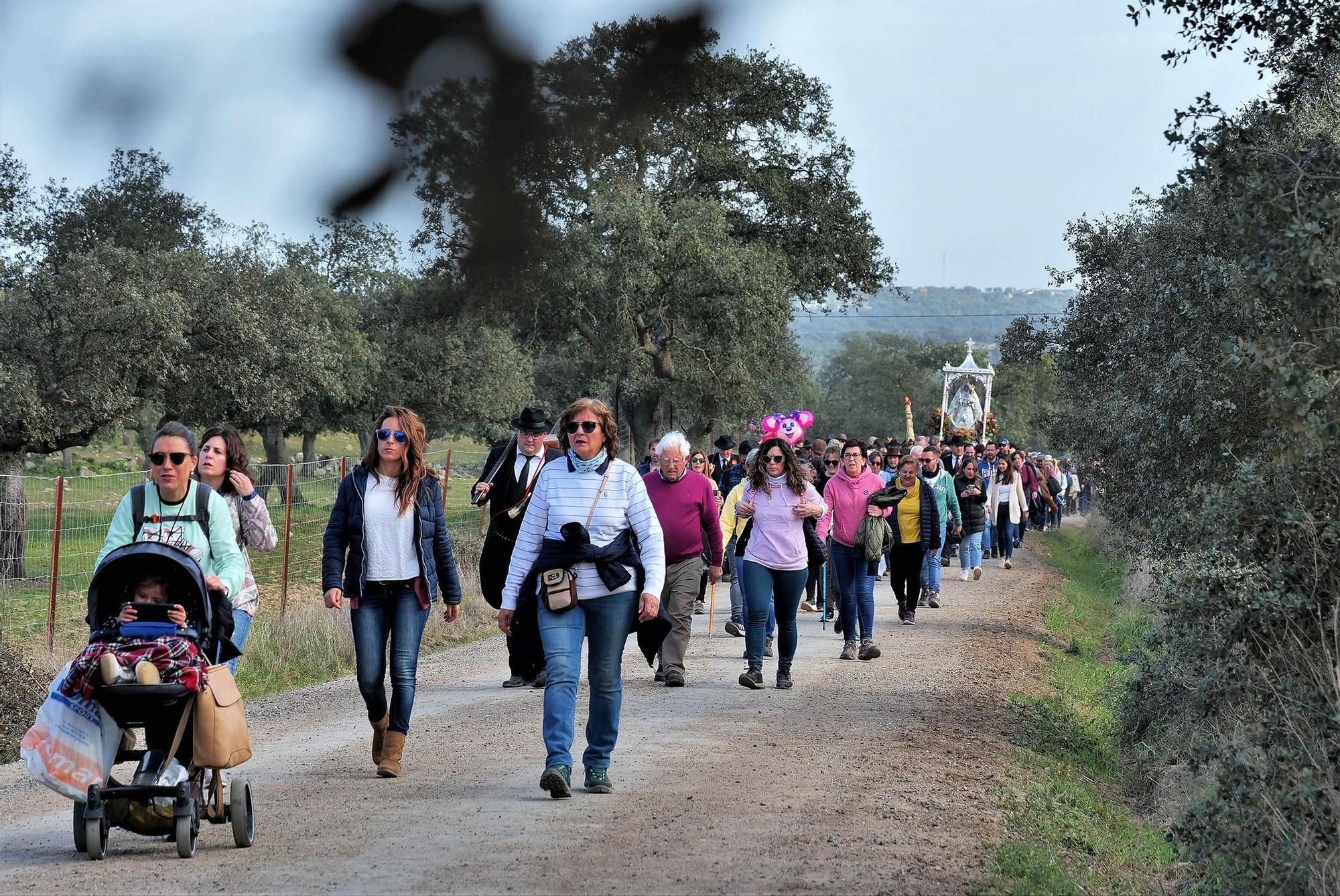 Pozoblanco vive la romería de traida de la Virgen de Luna