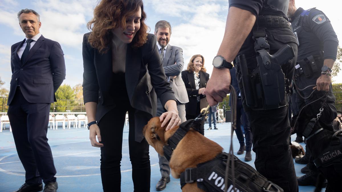 Isabel Díaz Ayuso, acaricia a un perro durante la presentación del Plan Regional contra las Drogas.
