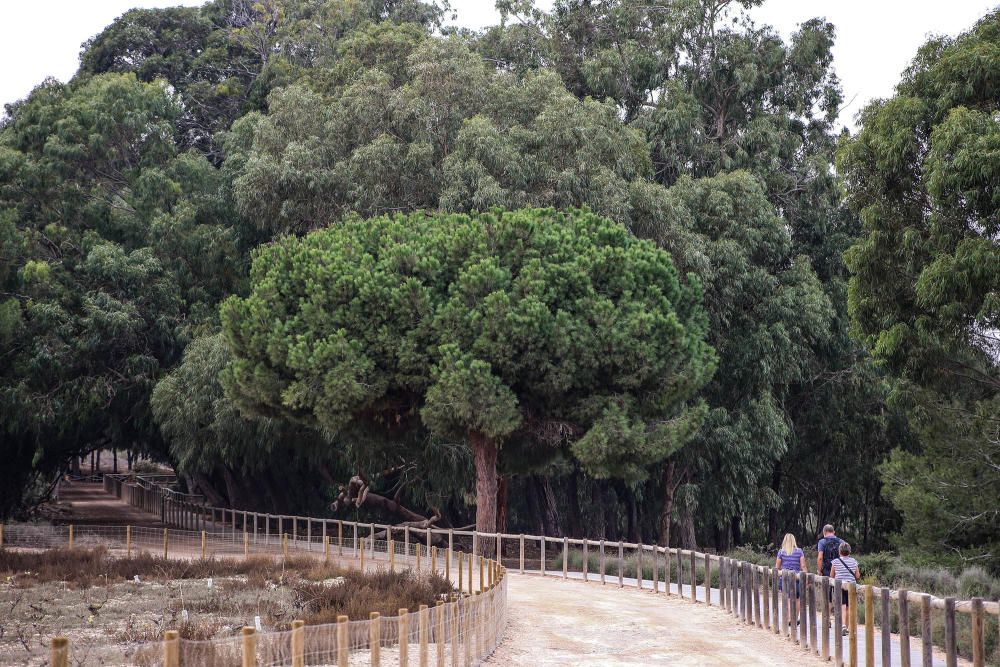 Parque Natural de las Lagunas