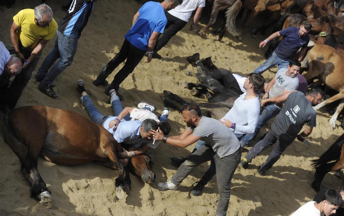 Pistoletazo de salida a la Rapa de Sabucedo 2024