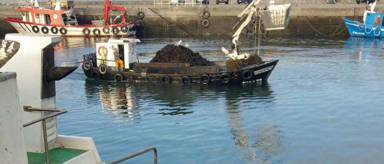 Limpian un barco tras descargar y otro se presta a hacerlo. // FdV