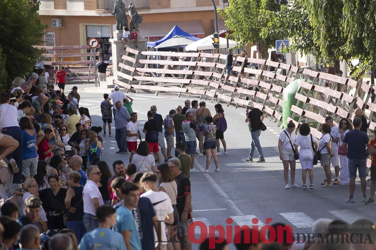 Sexto encierro de las Fiestas de Moratalla