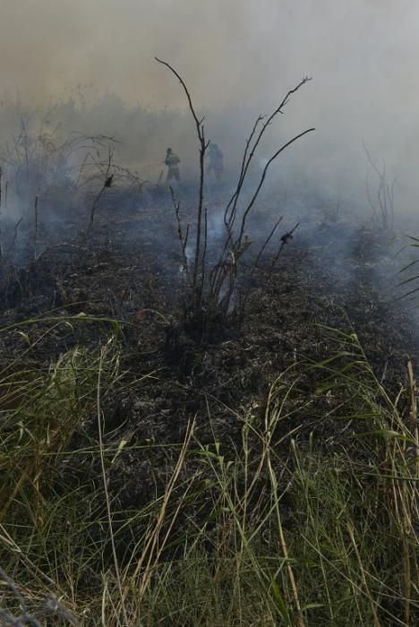 Incendio de matorral en Cabezo de Torres