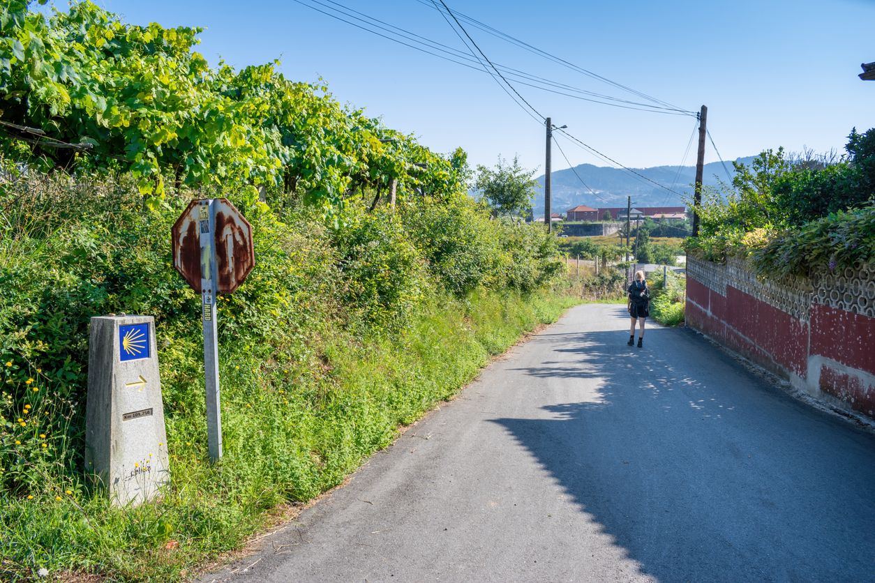 Camino de Santiago a su paso por un pueblo de Pontevedra.