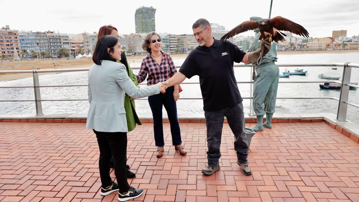 Carolina Darias conoce a uno de las águilas de Harris que contralarán la población de palomas.