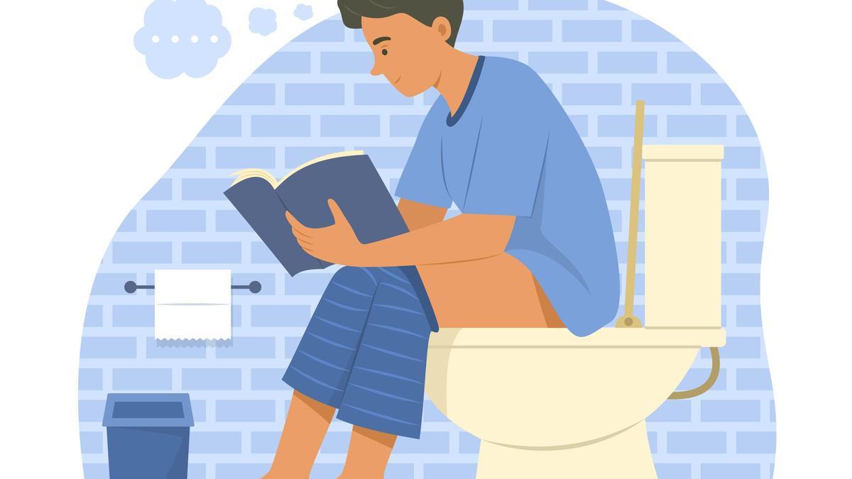 El libro gordo del retrete.