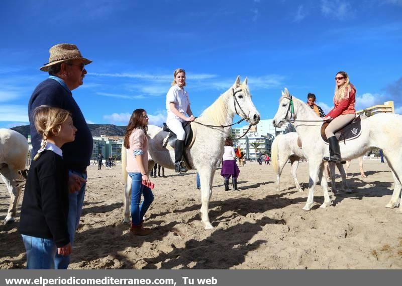 La playa de la Concha de Orpesa es un hipódromo por un día