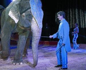 Espot de Rhianna. ’Trains for Platinum’.