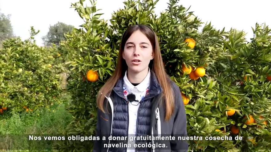 Unas agricultoras regalan las naranjas del campo de su padre fallecido