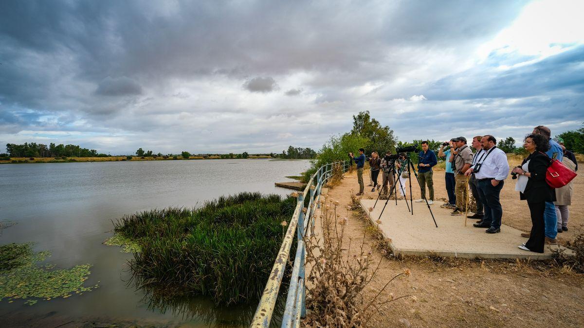 De pajareo por el Guadiana - El Periódico Extremadura